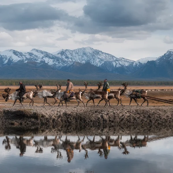 Visit the Tsaatan Reindeer Herders in Northern Mongolia - Horseback Riding, Lake Khuvsgul & Reindeer families photo 4