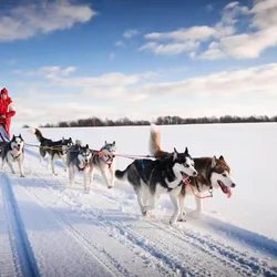 Mongolia Winter Adventures - Camel Ride, Frozen Lake Dog Sledding