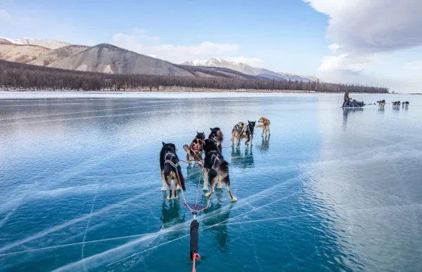Dog sled across a frozen Mongolian lake