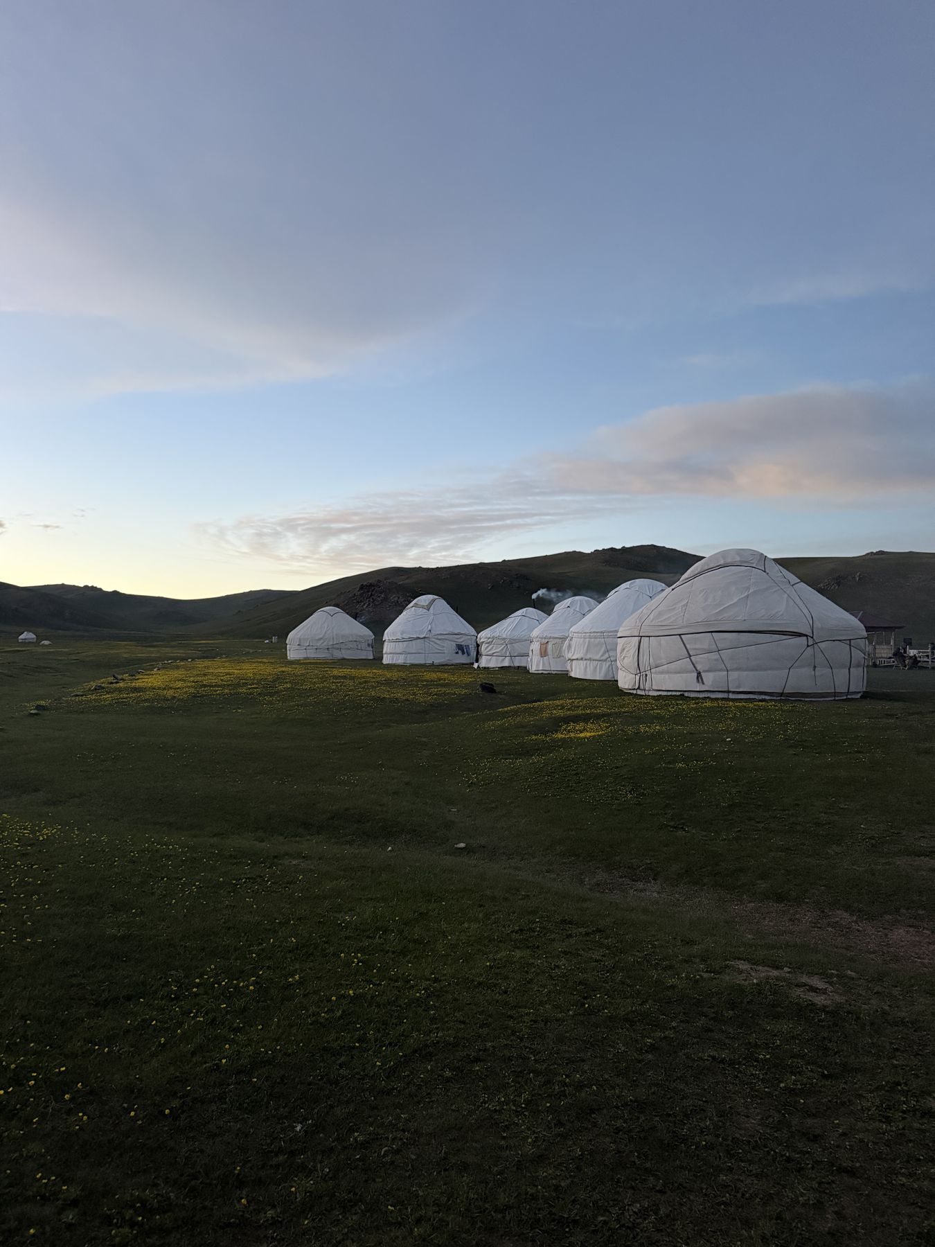 White yurts on a green high pasture at dusk in Kyrgyzstan