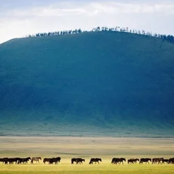 Explore the well-preserved crater of Uran Togoo Volcano, surrounded by peaceful forests and northern Mongolia's landscapes