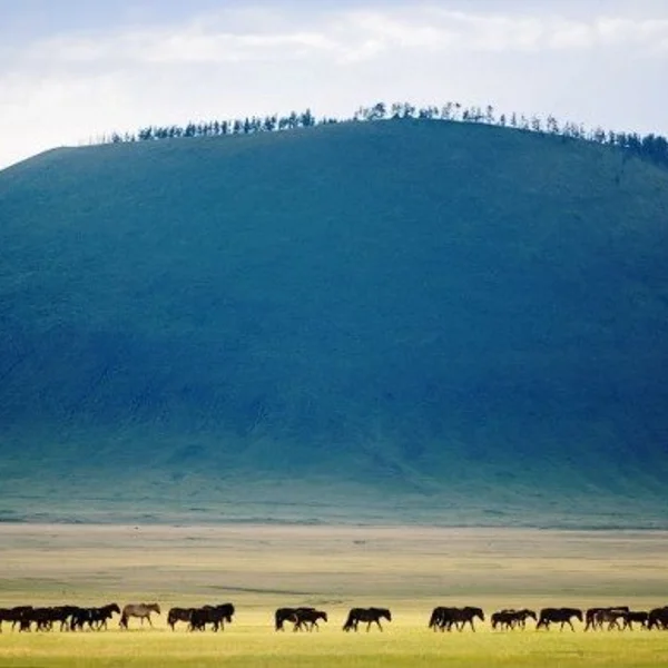 Visit the Tsaatan Reindeer Herders in Northern Mongolia - Horseback Riding, Lake Khuvsgul & Reindeer families photo 5