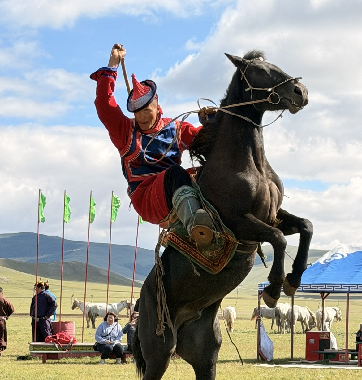 SOFEST MONGOLIA: Mini Naadam Festival, Horseback & Camel riding, Nomadic families, Cultural city exploration