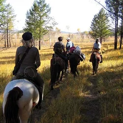 Begin your journey on horseback through the forests and remote landscapes of northern Mongolia