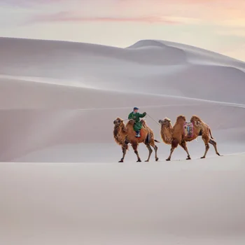 Epic Mongolia Expedition - Central Mongolia, Gobi Desert, Nomadic Tribe, Horseback Adventure! photo 2