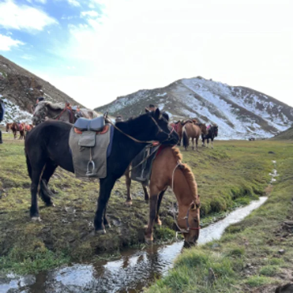 Epic Mongolia Expedition - Central Mongolia, Gobi Desert, Nomadic Tribe, Horseback Adventure! photo 52