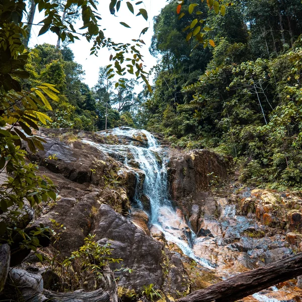 Gunung Pulai: forest trail and waterfalls (Johor)
