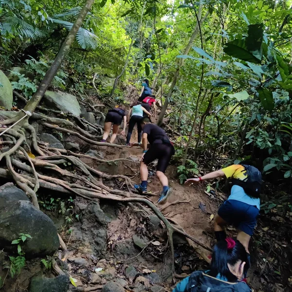 A trip leader, plus mountain guides