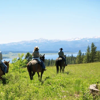 Image for Horseback riding lesson and ride through Vulture Valley