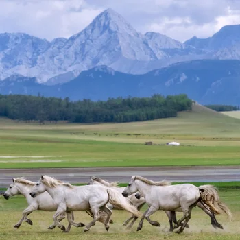 Image for Ride through the vast landscapes of the Darkhad Valley, surrounded by Mongolia's remote northern scenery