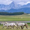 Farewell to Reindeer Land