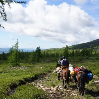 Visit the Tsaatan Reindeer Herders in Northern Mongolia - Horseback Riding, Lake Khuvsgul & Reindeer families photo 3