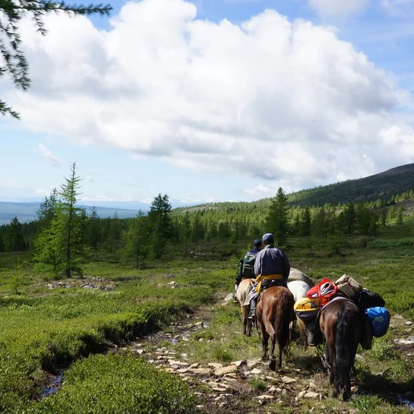 Visit the Tsaatan Reindeer Herders in Northern Mongolia - Horseback Riding, Lake Khuvsgul & Reindeer families photo 3