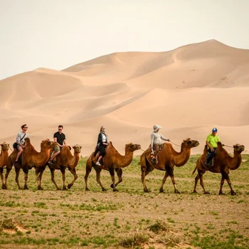 Image for Ride Bactrian camels through the towering dunes