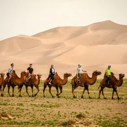 Ride Bactrian camels through the towering dunes