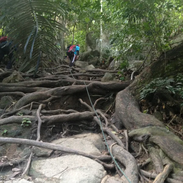 What to bring on a day hike in Malaysia