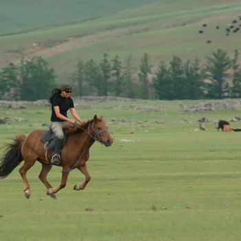 Image for Second horseback riding lesson and ride solo across the vast landscape