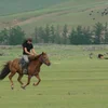 Explore UNESCO-Listed Orkhon Valley and Second Horseback Riding Lesson