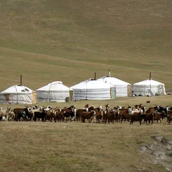 Arrive in the peaceful Eight Lakes area and settle into your yurt surrounded by nature.