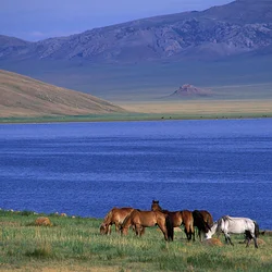 Take in the peaceful views of Ugii Lake as your Mongolia adventure begins.