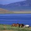 Arrive and Unwind at Ugii Lake