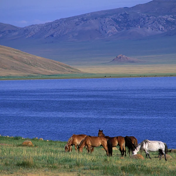 Eight Lakes Yurt-to-Yurt Horse Trekking Expedition photo 6
