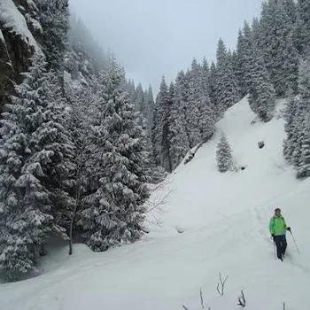 Image for 在白雪覆蓋的山徑上健行