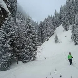 在白雪覆蓋的山徑上健行
