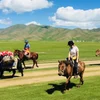 Horseback Journey Back