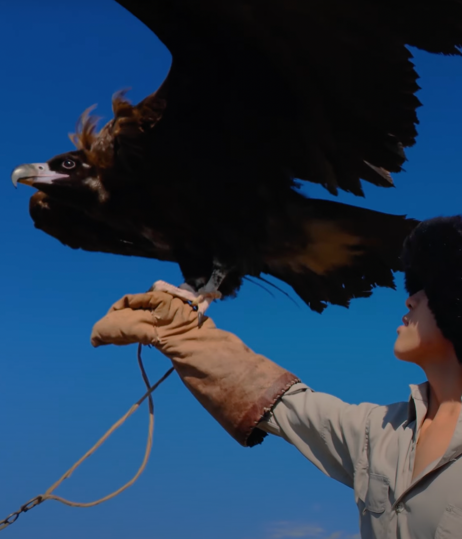 Immerse in the rich culture of Mongolia